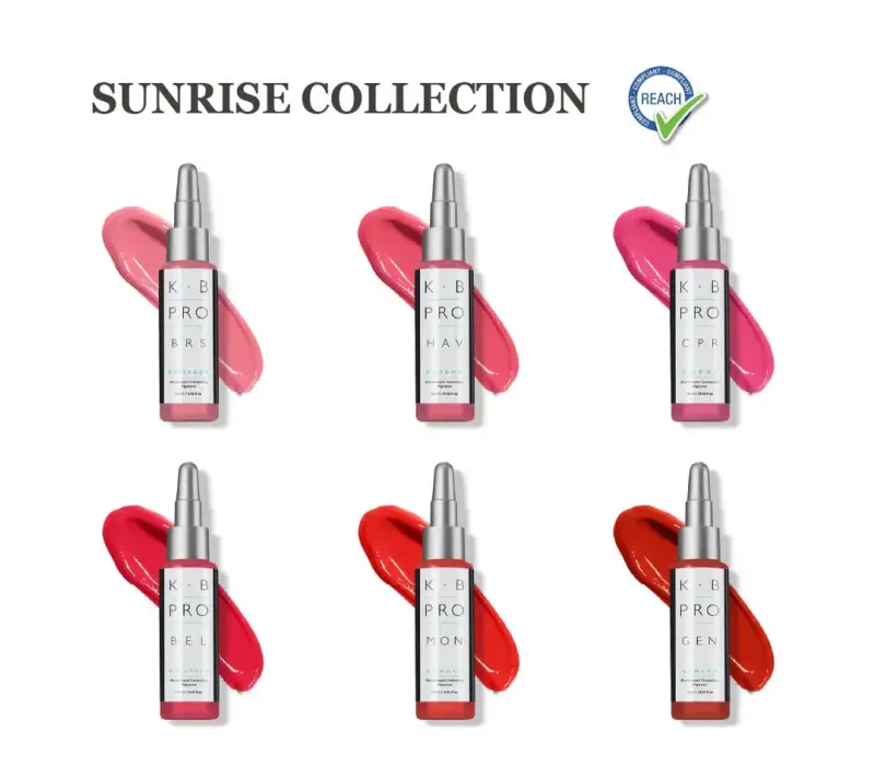 LIP BLUSH PMU Kurs i Oslo & Bergen - Online kurs med start kit 16,000